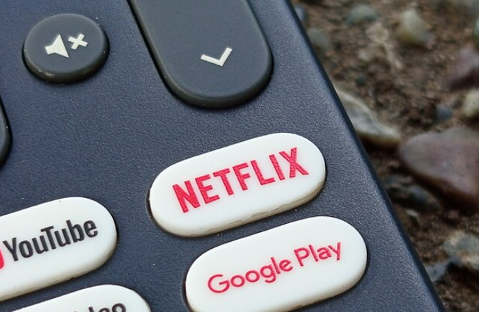 Image of Netflix Controller Project
